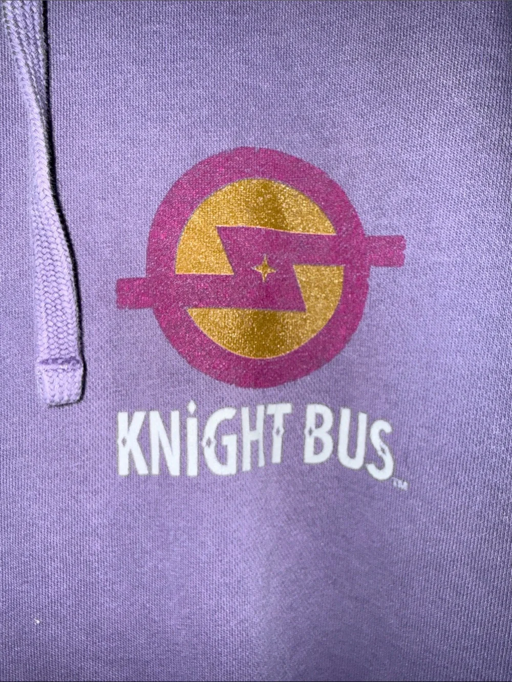 Wizarding World Of Harry Potter lavender pullover